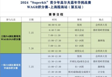 高尔夫比赛中的创新技术应用，B体育官网特别报道，高尔夫技术的三个要素