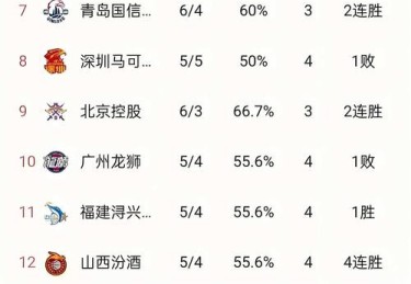 B体育app关注：浙江队核心球员数据全解析。，浙江省球队