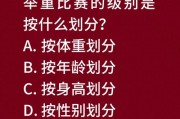 B体育app：举重比赛中的力量与平衡解析，b体育app_举重比赛中的力量与平衡解析是什么