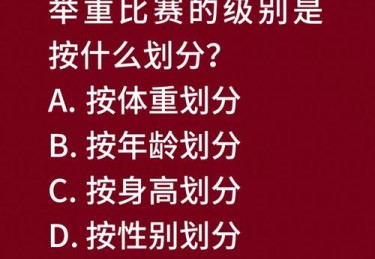 B体育app：举重比赛中的力量与平衡解析，b体育app_举重比赛中的力量与平衡解析是什么