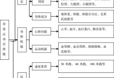 B体育app：如何提高举重中的力量与稳定性？，举重体能训练