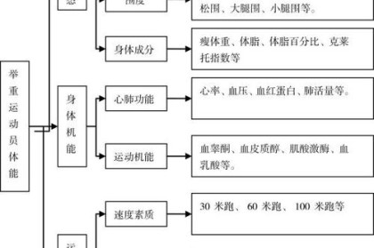 B体育app：如何提高举重中的力量与稳定性？，举重体能训练