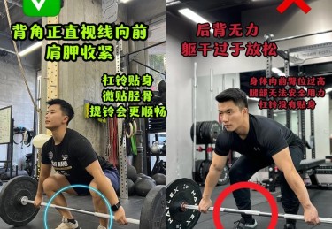 B体育：举重运动的训练方法与技巧，举重训练动作