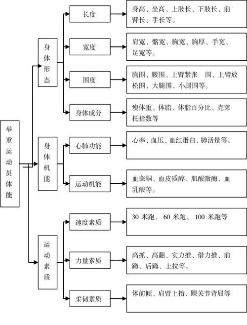 B体育app：如何提高举重中的力量与稳定性？，举重体能训练