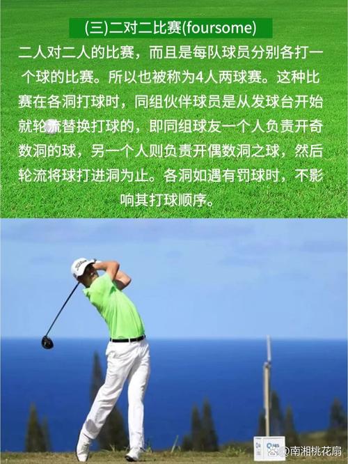 B体育揭秘：高尔夫运动中的趣闻与轶事，关于高尔夫运动的介绍