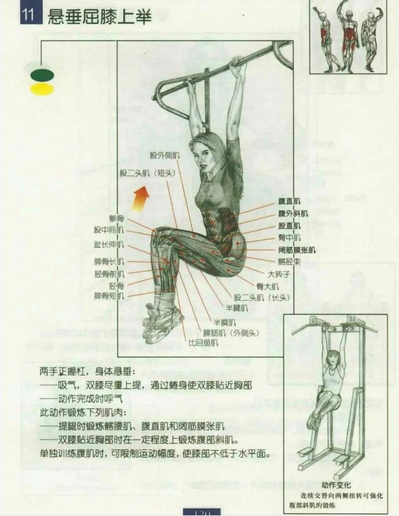 B体育官网：举重训练中的技术难点解析，举重基础训练