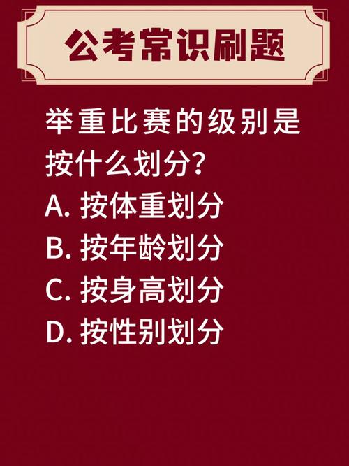 B体育app：举重比赛中的力量与平衡解析，b体育app_举重比赛中的力量与平衡解析是什么